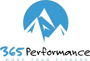 365 Performance Logo